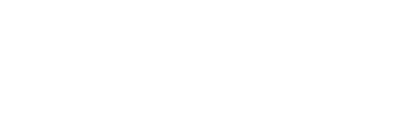 CERM Logo White