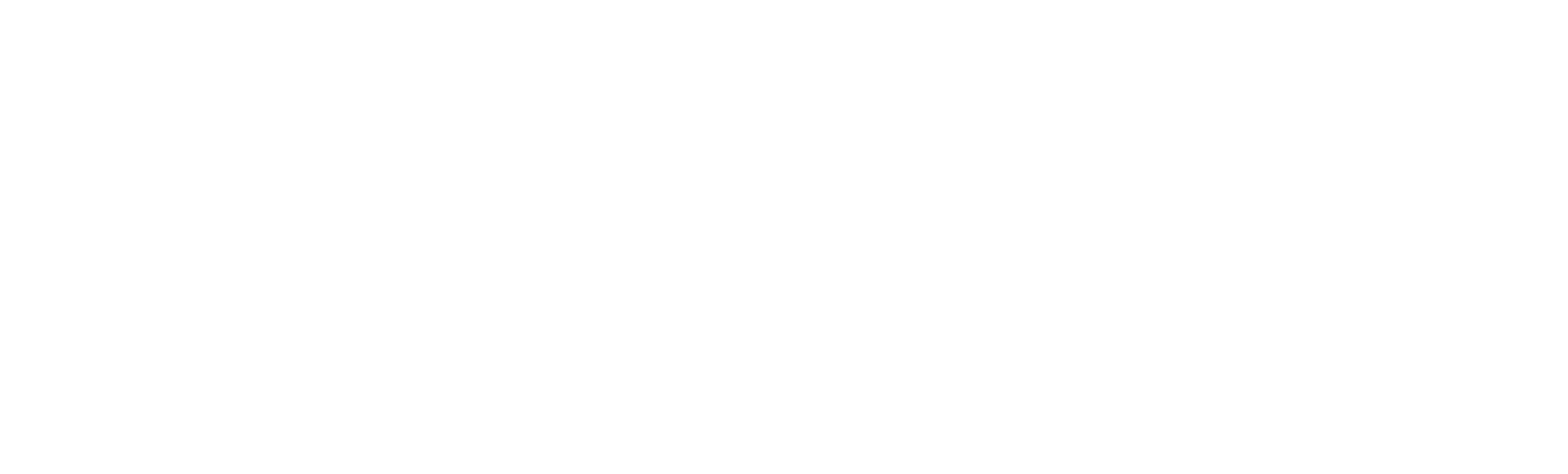CERM logo white