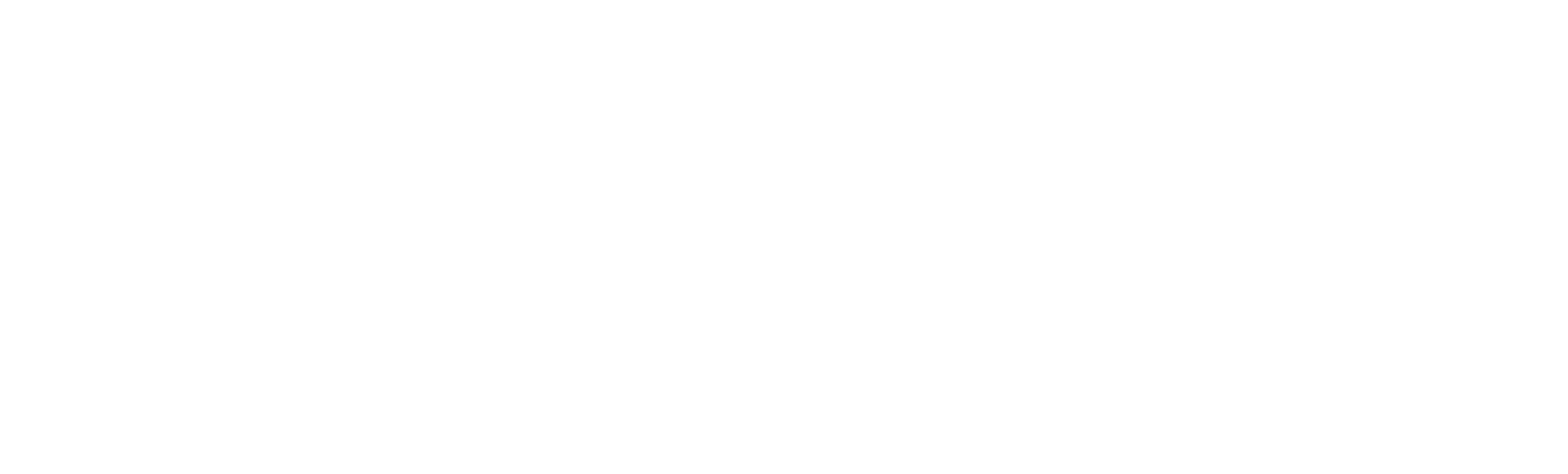 CERM logo white
